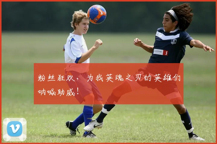 粉丝狂欢,为我英魂之刃的英雄们呐喊助威!