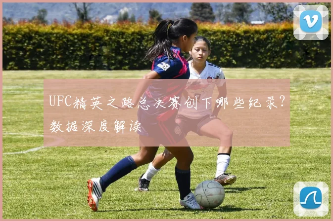 UFC精英之路总决赛创下哪些纪录？数据深度解读