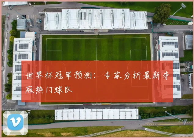 世界杯冠军预测：专家分析最新夺冠热门球队