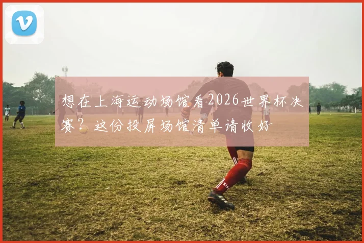 想在上海运动场馆看2026世界杯决赛?这份投屏场馆清单请收好