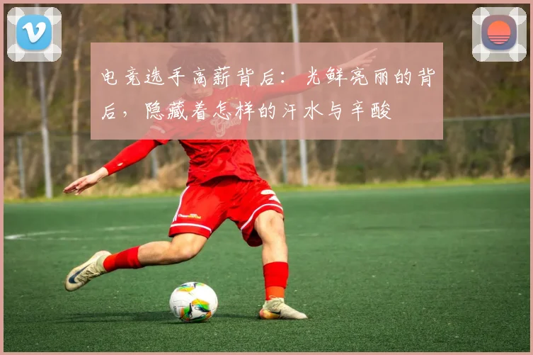 电竞选手高薪背后:光鲜亮丽的背后,隐藏着怎样的汗水与辛酸