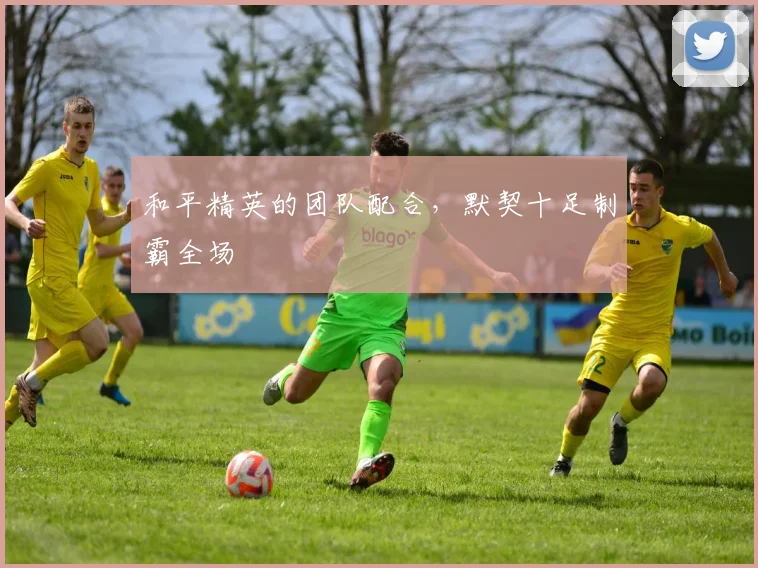 和平精英的团队配合,默契十足制霸全场