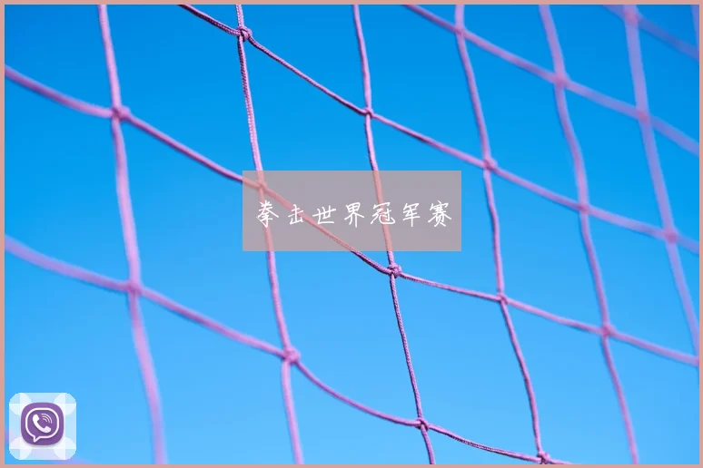 拳击世界冠军赛