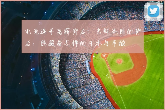 电竞选手高薪背后:光鲜亮丽的背后,隐藏着怎样的汗水与辛酸
