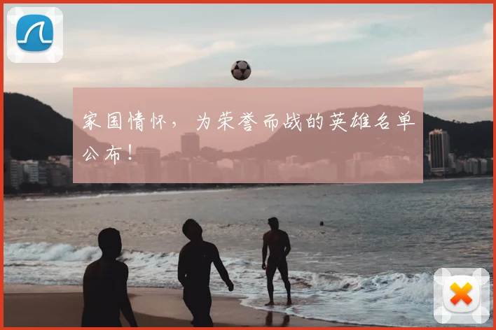 家国情怀,为荣誉而战的英雄名单公布!