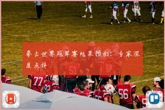 拳击世界冠军赛结果预测：专家深度点评