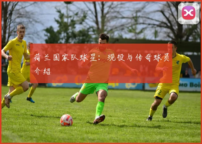 荷兰国家队球星：现役与传奇球员介绍